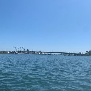 Meet your Posher, Berenice